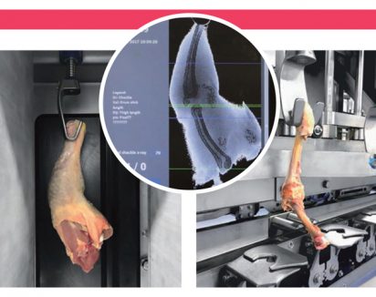 Une coupe précise le long de l’os sans endommager la viande ou l’osUne coupe précise le long de l’os sans endommager la viande ou l’os